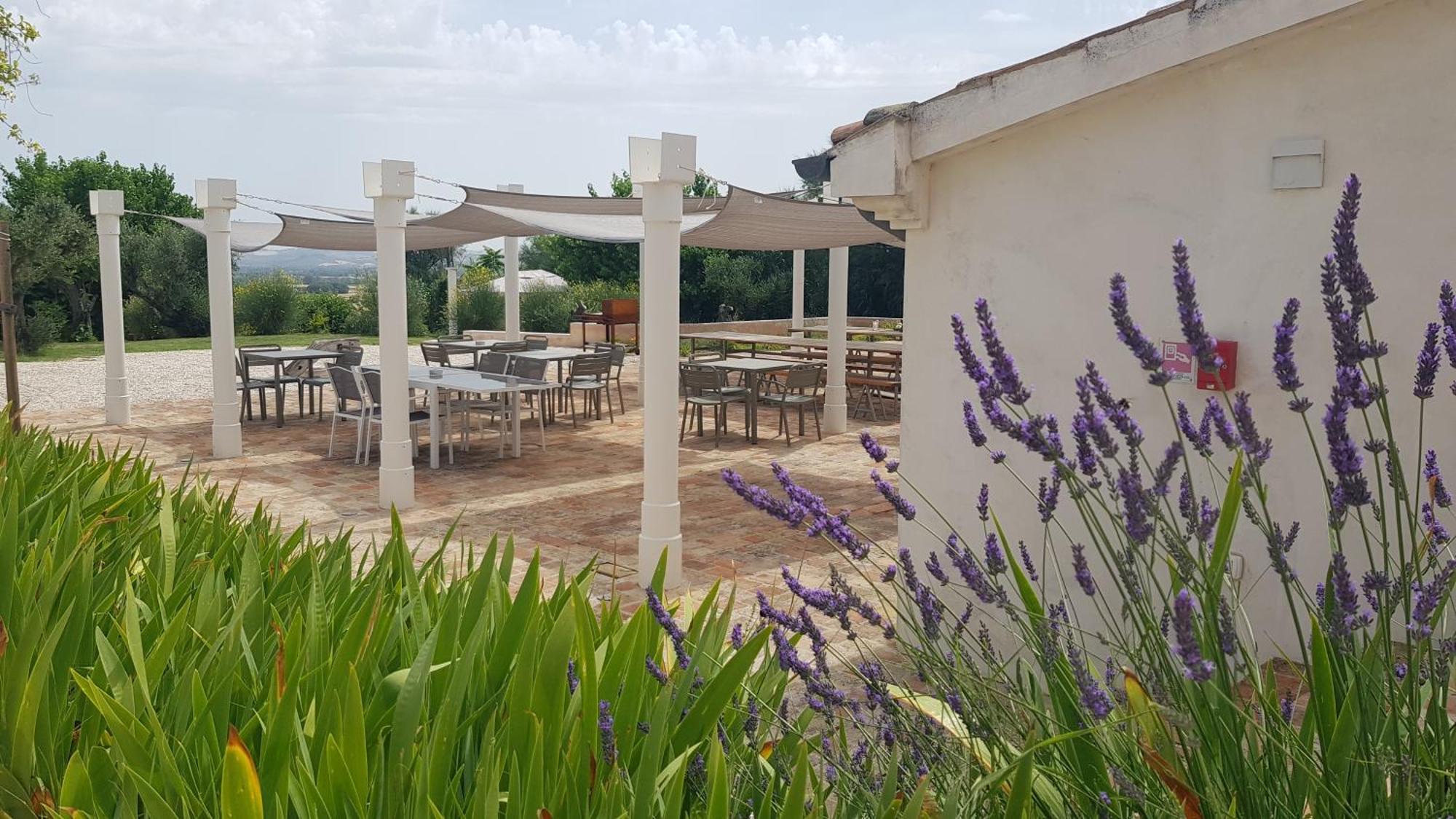 Villa Montefiore Country Resort Borghetto  Esterno foto